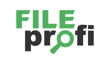 FileProfi - профессиональное восстановление данных в Пензе